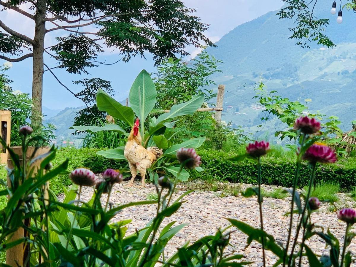 Sapa Rosie House Hotell Exteriör bild