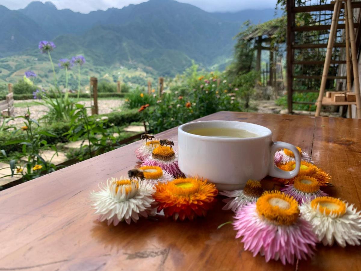 Sapa Rosie House Hotell Exteriör bild